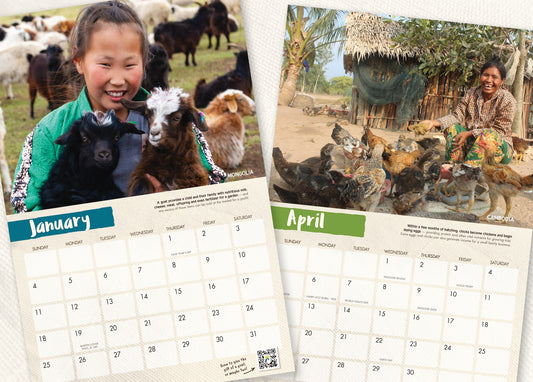 Holt International Wall Calendar