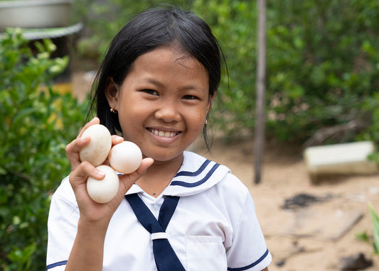 Egg a Day