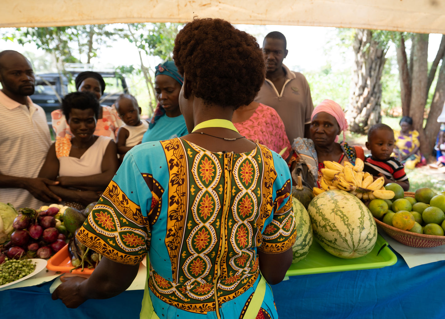 Garden Seeds, Tools & Training