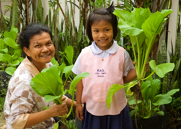 Garden Seeds, Tools & Training