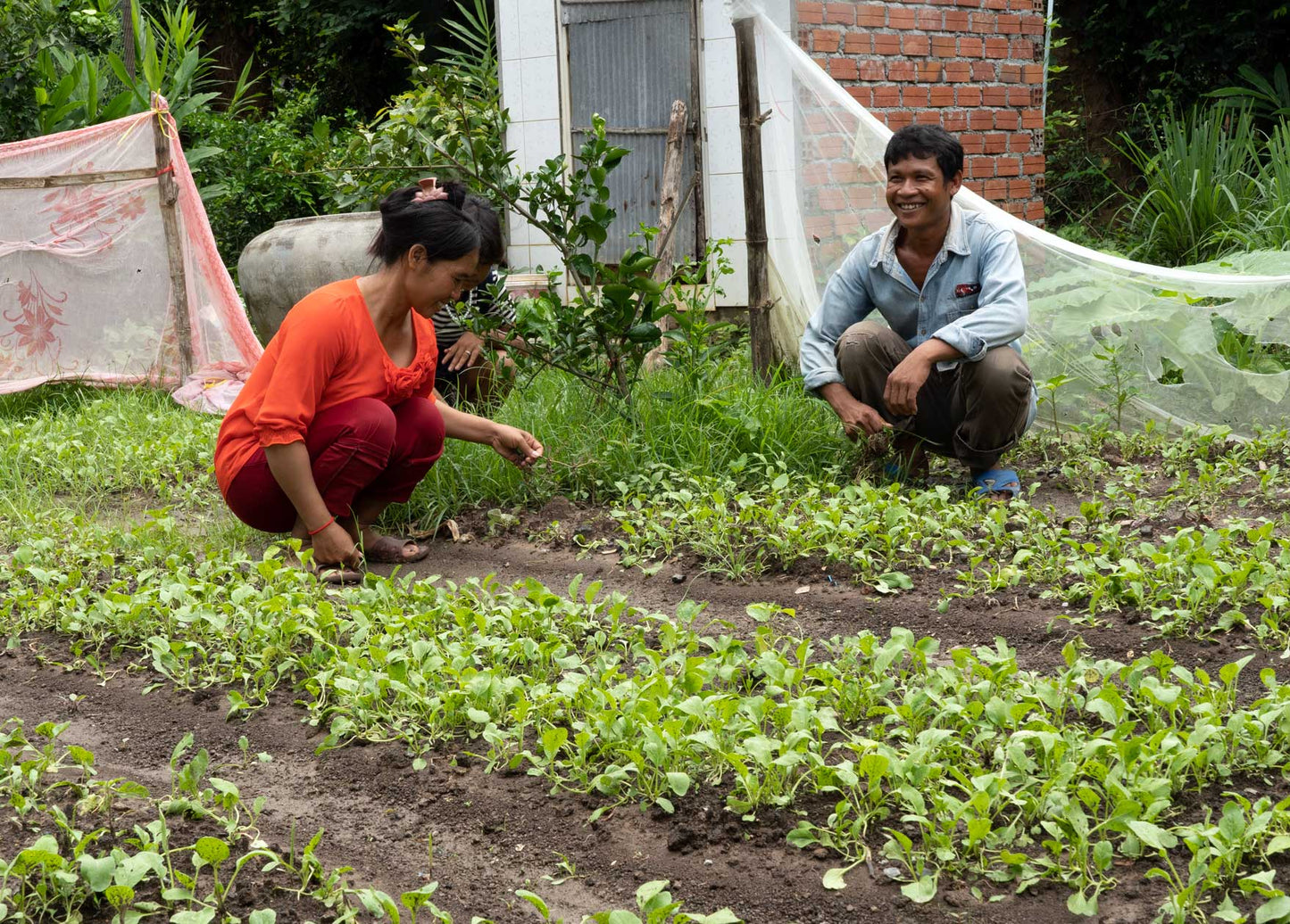 Garden Seeds, Tools & Training