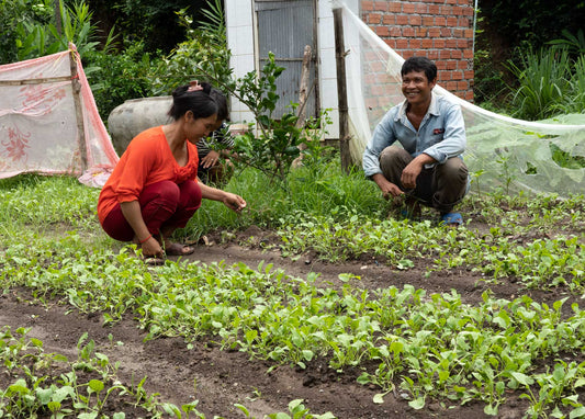 Garden Seeds, Tools & Training