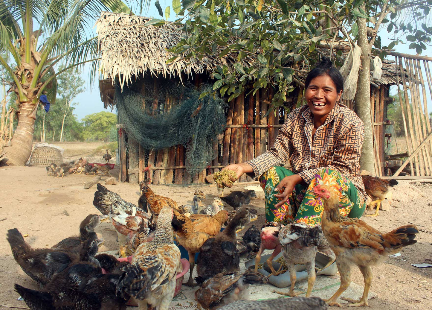Give Chickens