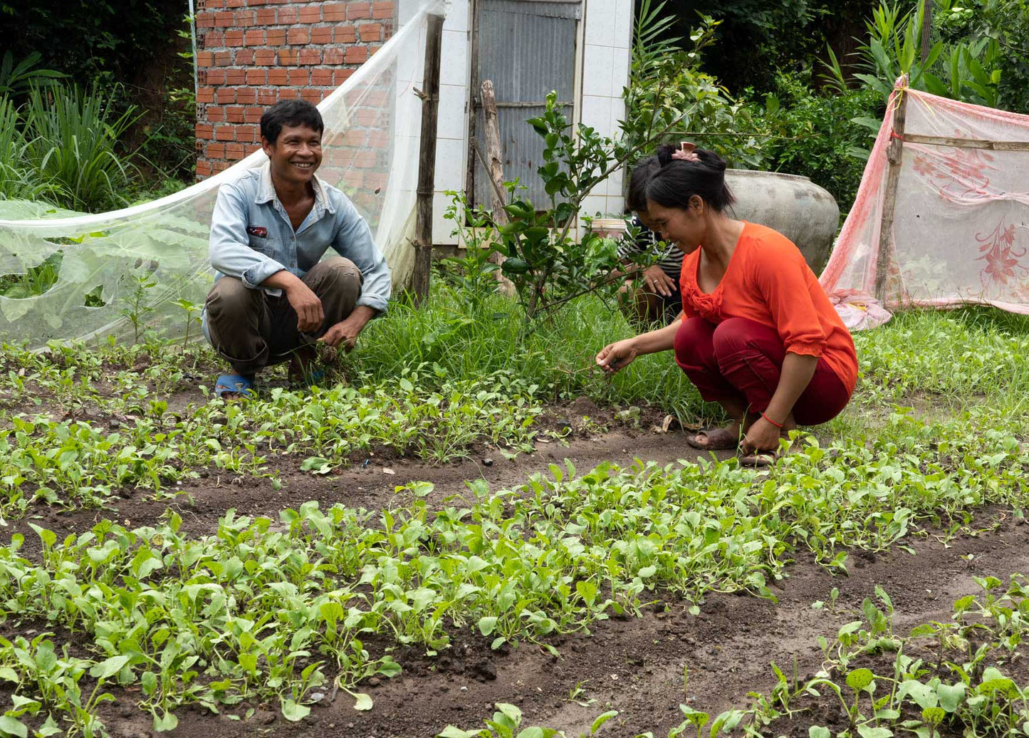 Give a Garden