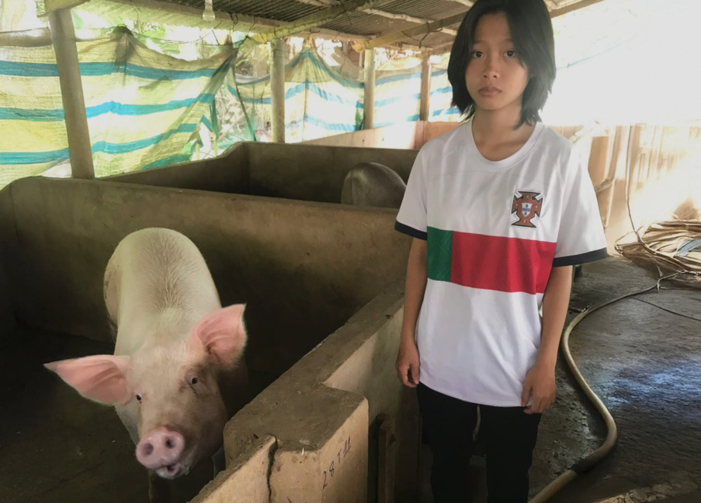 Give a Pig
