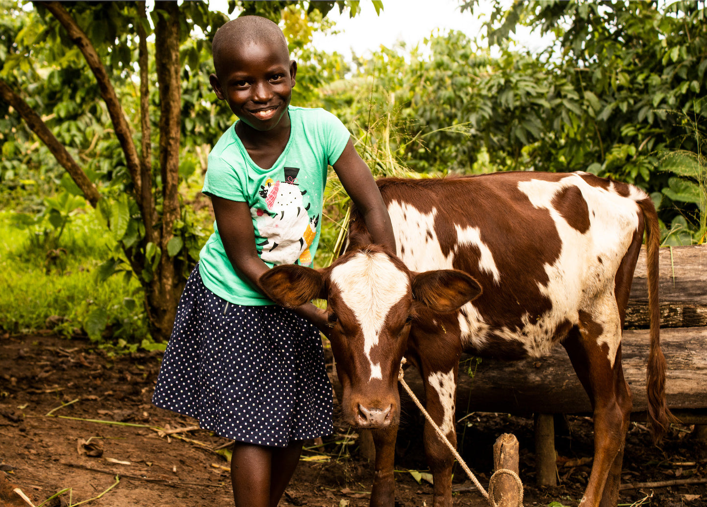 Give a Cow