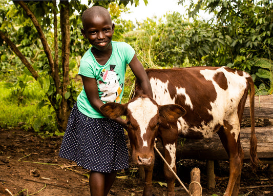 Give a Cow