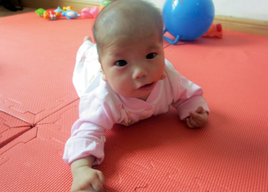 Support The Peace House