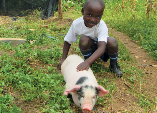 Give a Pig