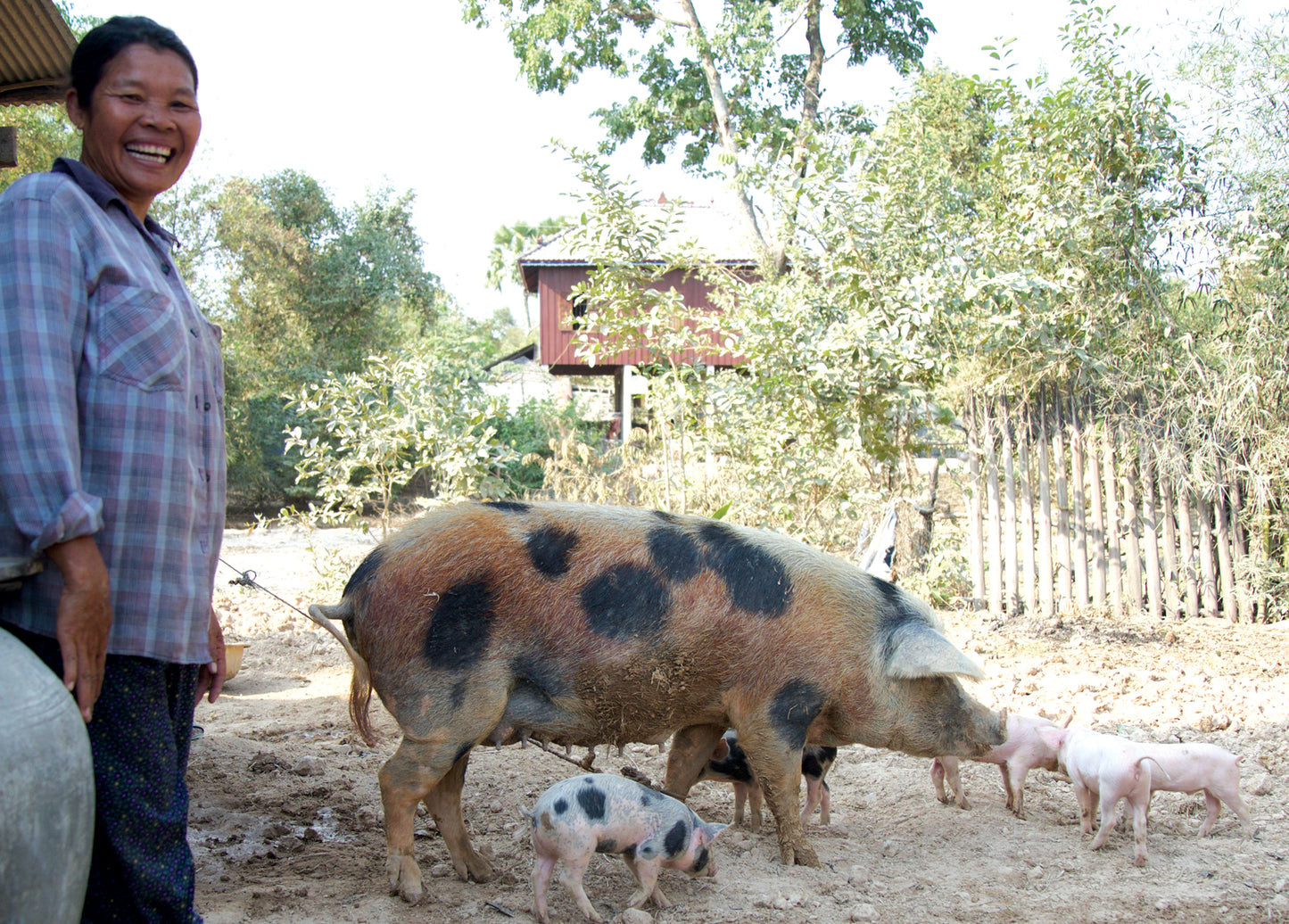 Give a Pig