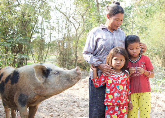 Give a Pig