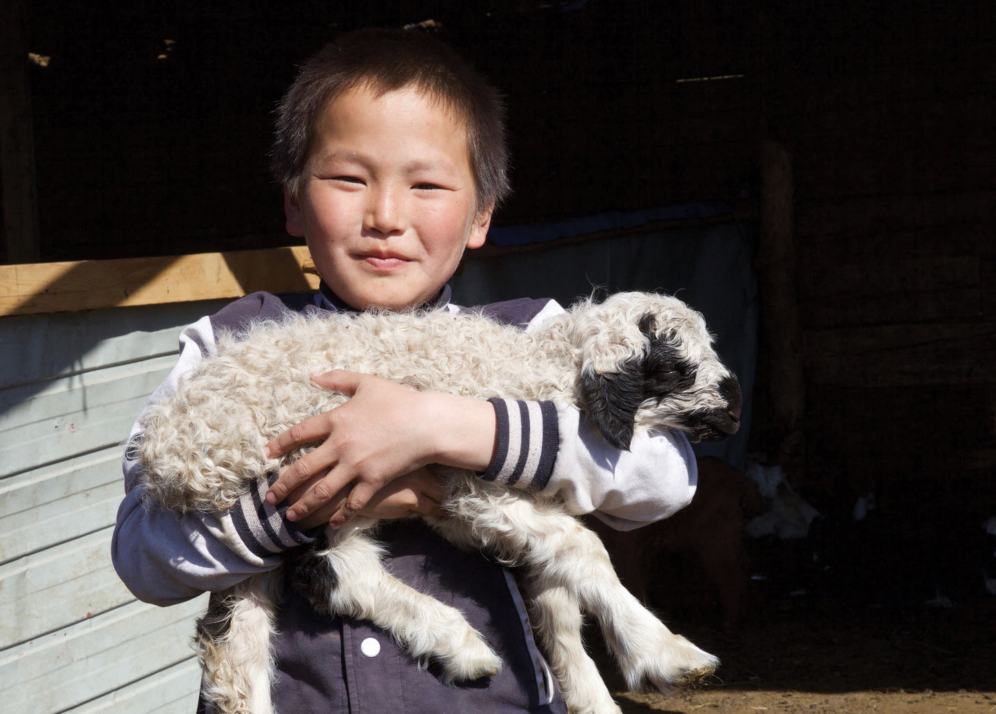 Give Sheep