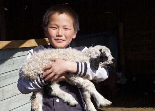 Give Sheep