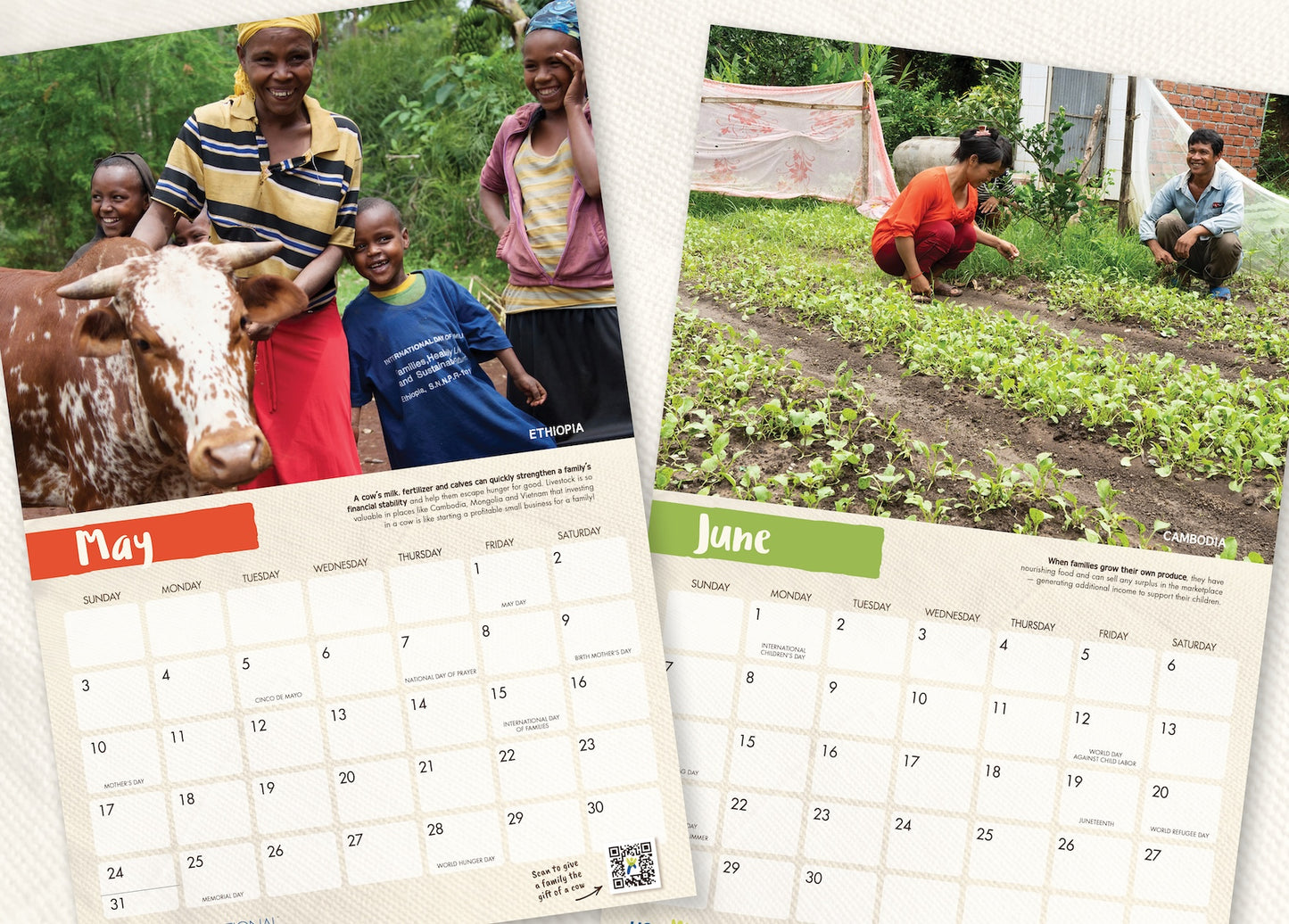 Holt International Wall Calendar