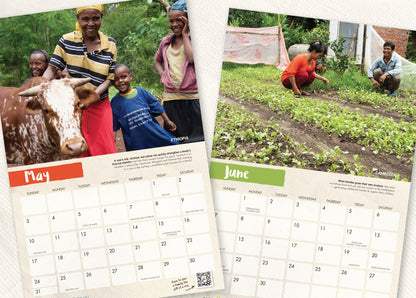 Holt International Wall Calendar