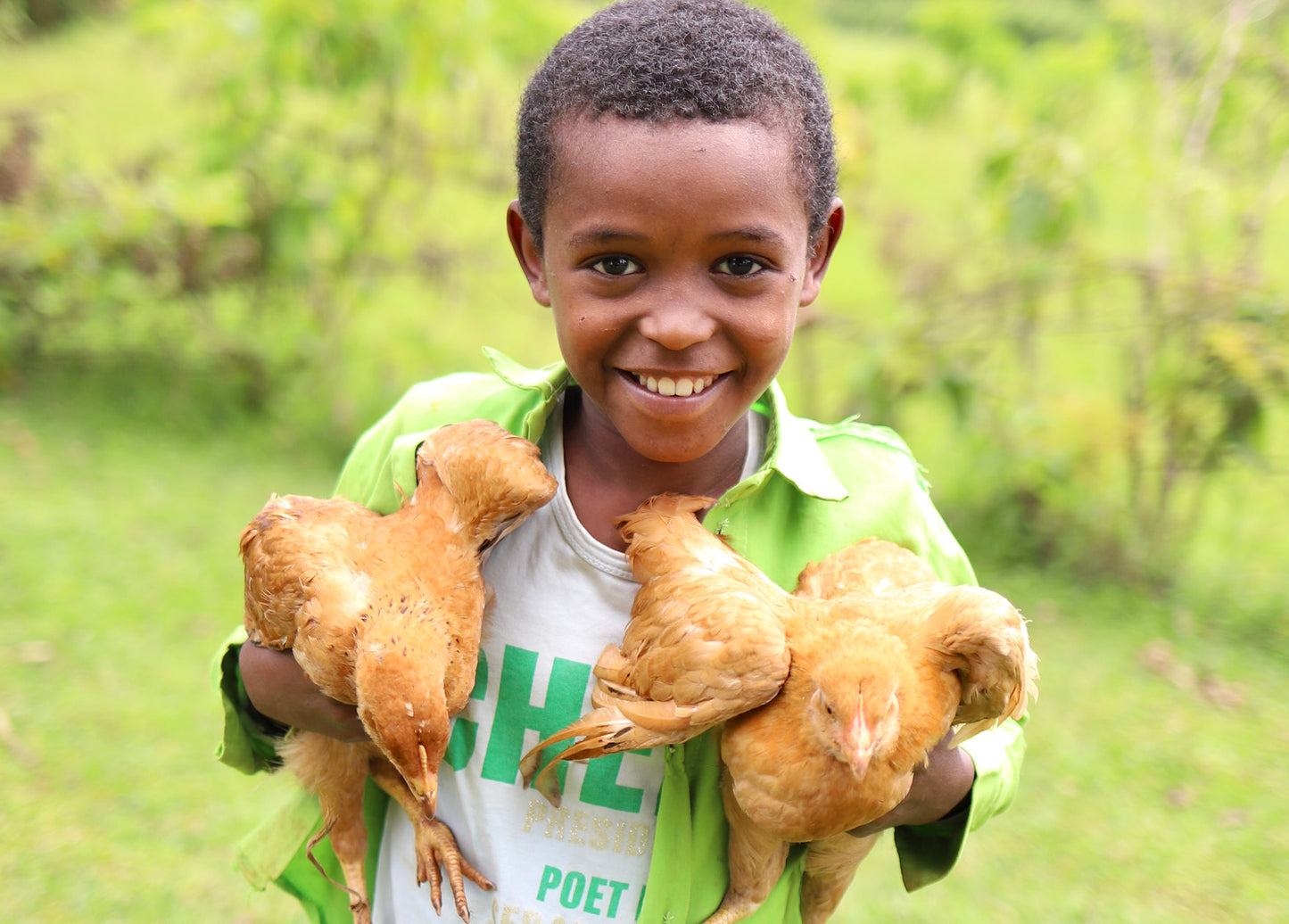 Give Chickens