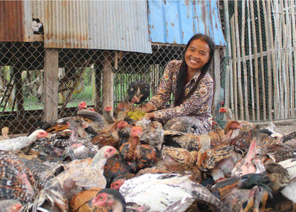 Give 5 Chickens